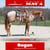 Horse ad
