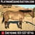 Horse ad