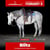 Anuncio de caballos