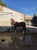 Anuncio de caballos