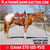 Horse ad