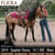 Annuncio cavallo