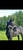 Horse ad