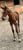 Horse ad