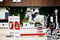 Horse ad
