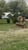 Horse ad