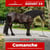 Paardadvertentie