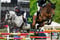Annuncio cavallo