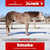 Paardadvertentie
