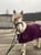 Horse ad