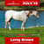 Annuncio cavallo
