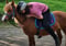 Horse ad