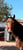 Anuncio de caballos