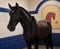 Horse ad