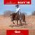 Horse ad