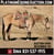 Horse ad