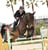 Annuncio cavallo
