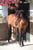 Horse ad