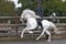 Horse ad