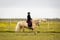 Horse ad