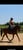 Annonce cheval