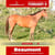 Anuncio de caballos