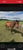 Horse ad