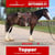 Annonce cheval