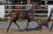 Horse ad
