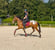 Annonce cheval