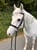 Horse ad