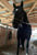 Annuncio cavallo