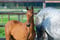 Annonce cheval