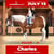 Annuncio cavallo
