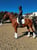 Annuncio cavallo