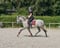 Annuncio cavallo