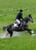 Horse ad