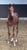 Horse ad