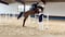 Annuncio cavallo