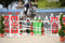 Annuncio cavallo