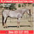 Horse ad