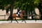 Annuncio cavallo