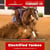 Annuncio cavallo