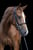 Horse ad