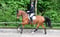 Annuncio cavallo