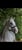 Annuncio cavallo