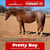 Horse ad