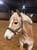 Horse ad
