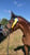 Horse ad