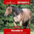 Paardadvertentie